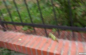 Wicked Rosalinda sucks her mate's boner
